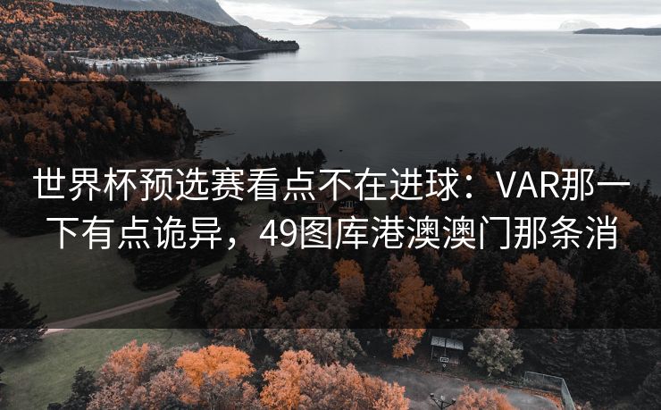 世界杯预选赛看点不在进球：VAR那一下有点诡异，49图库港澳澳门那条消